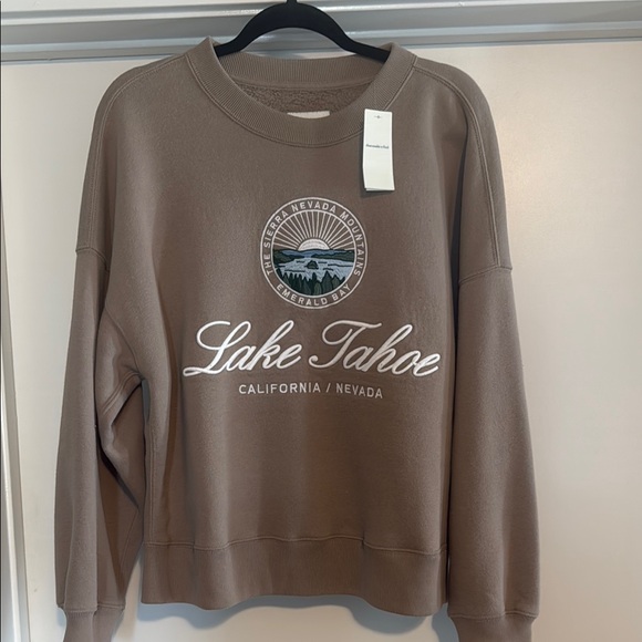 Abercrombie & Fitch Brown Sweatshirt with Mountain Graphic - Picture 1 of 4